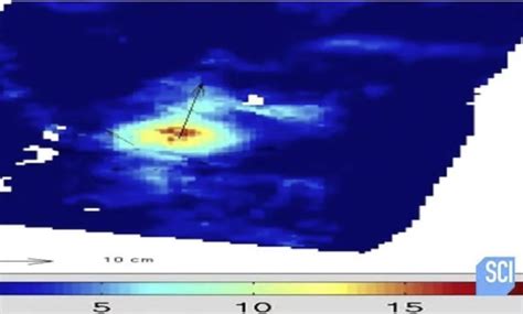 Alarming signs of volcanic activity and imminent eruption of the LONG VALLEY CALDERA ...