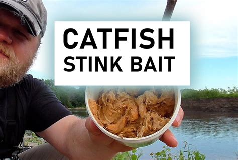 What Is The Best Channel Catfish Bait?