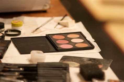 Makeup Blush Kit Free Stock Photo - Public Domain Pictures