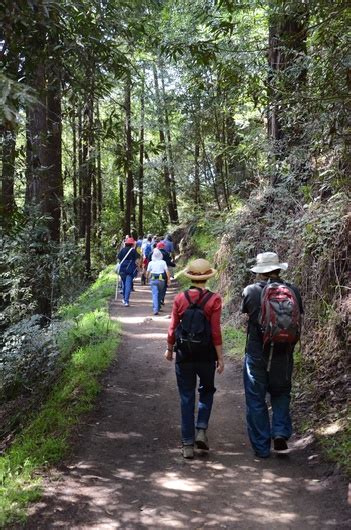 Joaquin Miller Park - Oakland - LocalWiki