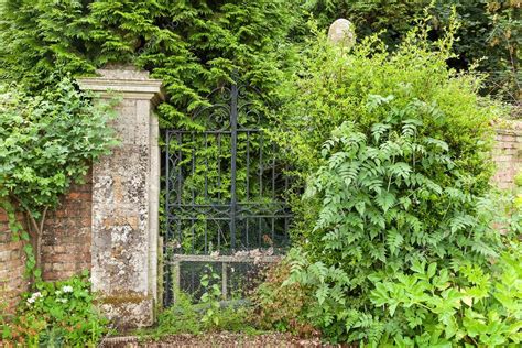 Overgrown black wrought iron gates. — Stock Photo © doethion #27738871