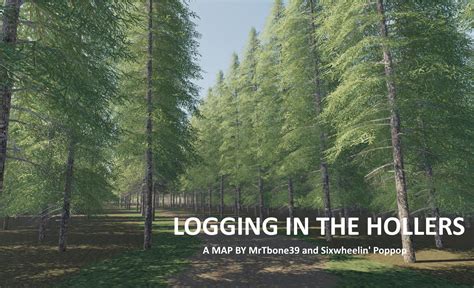 LOGGING IN THE HOLLERS V1.0 - FS19 mod - FS19.net