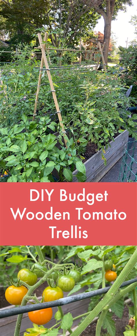 In Color Order: Tutorial: DIY Budget Wooden Tomato Trellis