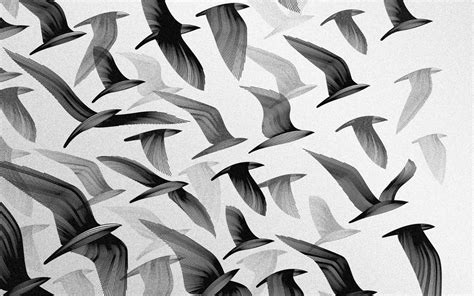 Flock of gray and white bird painting, artwork, monochrome, birds, flying HD wallpaper ...