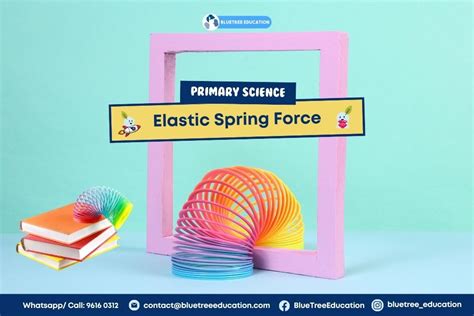 PSLE Science: Elastic Spring Force Graph - Bluetree Education Group