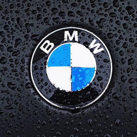 Custom Bmw Logo Floor Mats - Carpet Vidalondon