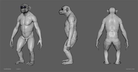 3D chimpanzee skeleton muscles - TurboSquid 1537142