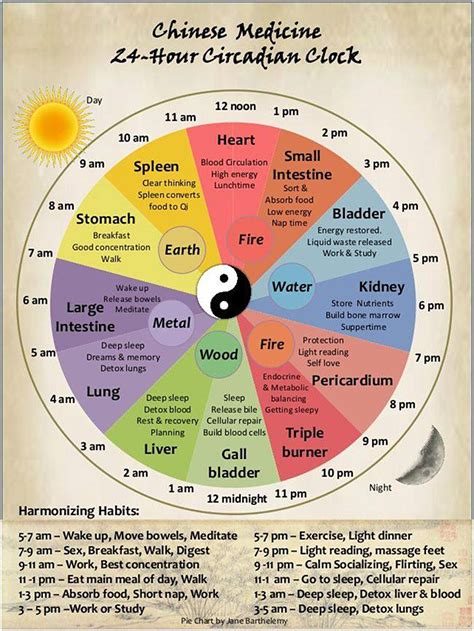 Chinese Medicine 24-Hour Circadian Clock | Chinese medicine, Energy ...