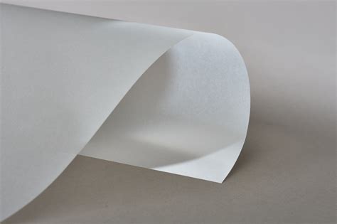 Everything you Need to Know about Vellum Paper | Printed.com