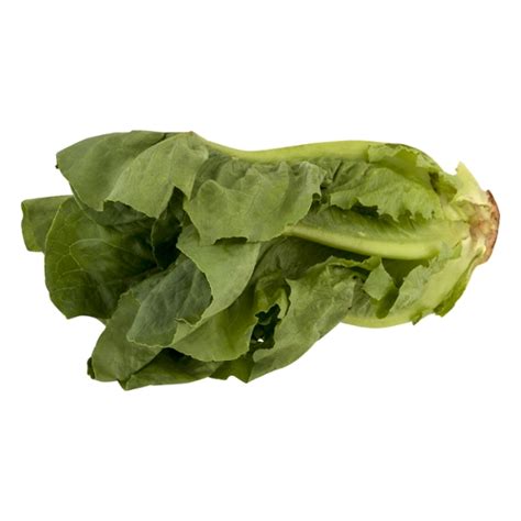 Save on Romaine Lettuce Order Online Delivery | Stop & Shop