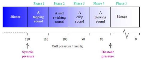 Auscultatory gap in hypertension – Medchrome