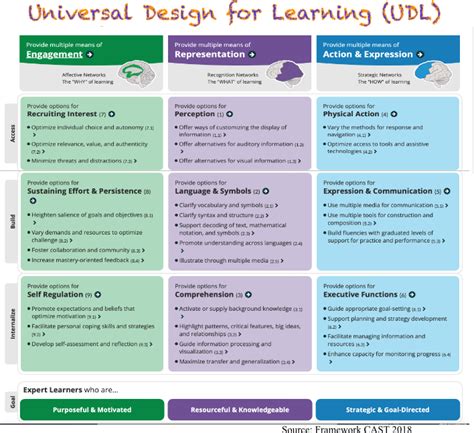 Universal design for learning (UDL) framework