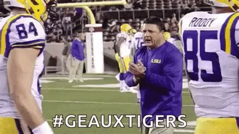 Go Tigers GIFs | Tenor