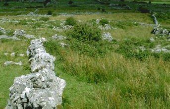 The Burren: Soils of the Burren