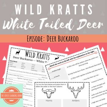 Wild Kratts: Deer Buckaroo by Lovely Learning Room | TpT