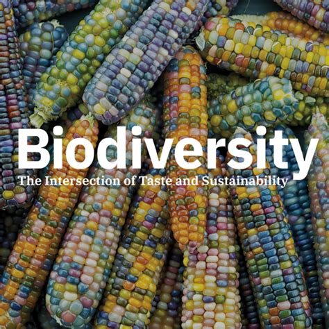 Food+Tech Connect The Future of Food is Biodiverse | Food+Tech Connect