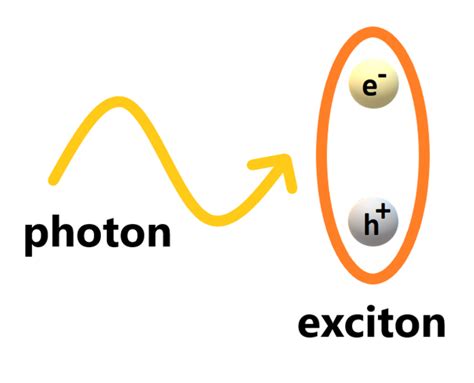 Exciton polariton [IMAGE] | EurekAlert! Science News Releases