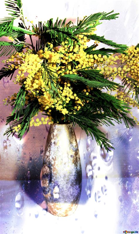 Download free picture spring bouquet mimosa flower on CC-BY License ~ Free Image Stock tOrange ...