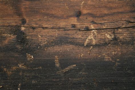 Free photo: Dirty wood texture - Boat, Colors, Dirty - Free Download ...