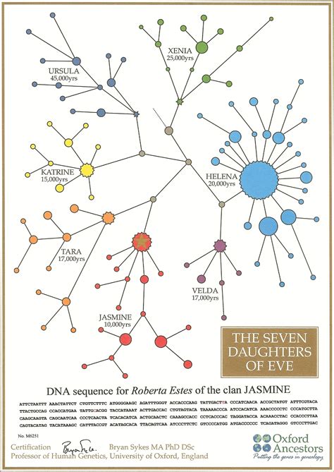 Mitochondrial Eve | DNAeXplained – Genetic Genealogy