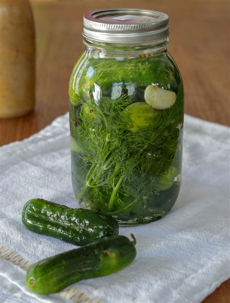 Fermented Pickles - Hilah Cooking | Recipe | Fermented pickles, Pickles ...