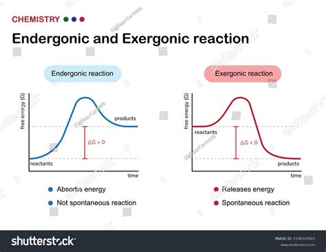 Endergonic Reaction: Definition, Examples, And Graph, 60% OFF