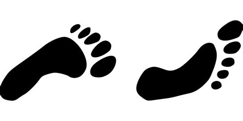 Footsteps clipart transparent background, Footsteps transparent ...