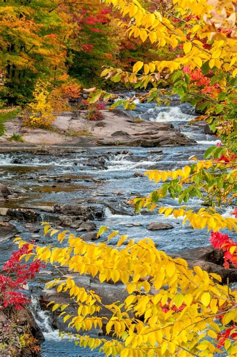 Canada in fall stock image. Image of maple, close, fall - 102337743