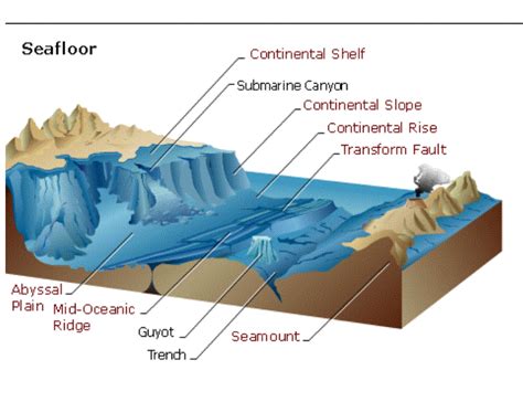 What did the Caribbean prehistorically and historically look like? | Plate tectonics, Earth ...