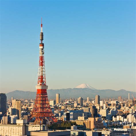 Tokyo Tower and Mount Fuji in morning Photograph by Wing Lun Leung - Fine Art America