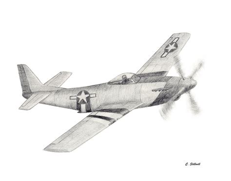 P-51 Mustang Drawing by Craig Stillwell