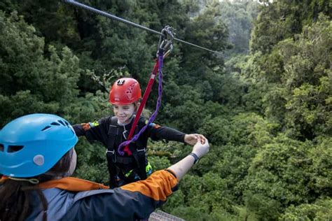 Rotorua: Guided Zipline Adventure Tour with Photos | GetYourGuide