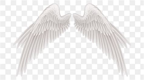 Angel Wings PNG Transparent Images Free Download | Vector Files | Pngtree