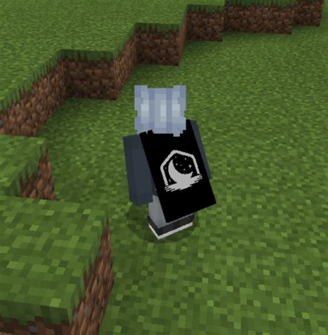 MCPE/Bedrock Custom Cape Resource Pack (50+ Capes) – .mcpack ...