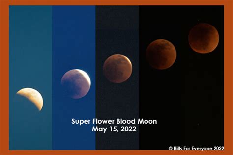 Super Flower Blood Moon | Hills For Everyone