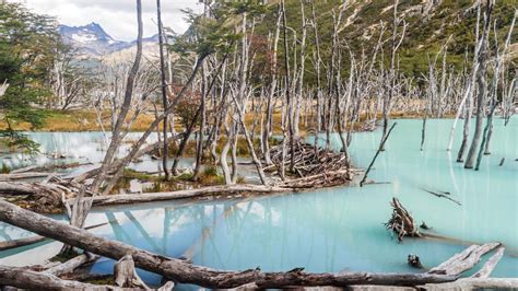 About Tierra del Fuego National Park | Hurtigruten