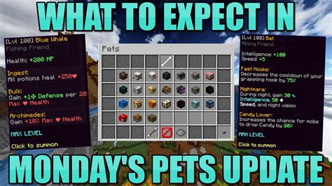 Best Pets Hypixel Skyblock Best Pet On Skyblock (hypixel Skyblock) Cookie: