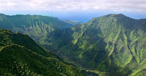 The Nature Conservancy in Hawai’i