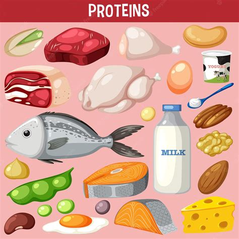 Steak Clip Art Meats Protein Clipart Clipart Kid Red - vrogue.co