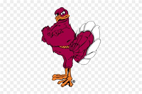 Virginia Tech Hokies - Hokie Bird - Free Transparent PNG Clipart Images Download