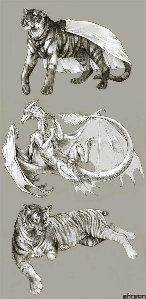 sketch commissions - tiger, dragon by akreon on DeviantArt