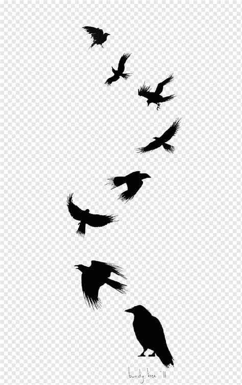 Gagak tinta, siluet gagak, hewan, burung png | PNGWing