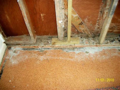 South Jersey Termite Damage Repair | South Jersey Termite & Pest ...