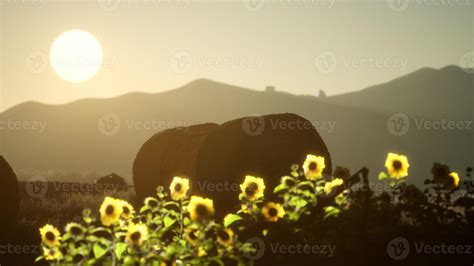 hay bales in the sunset 5856294 Stock Photo at Vecteezy