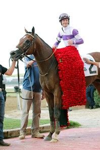 Irap - Horse Profile - BloodHorse