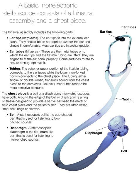 Parts of a stethoscope Use stethoscope properly | Best stethoscope for nurses, Stethoscope ...