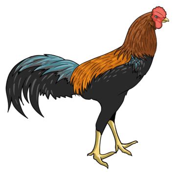 Rooster Hannaford PNG, Vector, PSD, and Clipart With Transparent ...