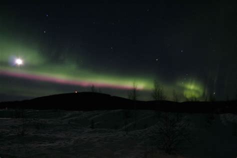 Free picture: northern lights, Alaska, aurora, borealis, lights, night