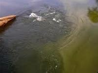 Water Pollution - India Environment Portal | News, reports, documents, blogs, data, analysis on ...