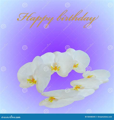 Greeting card stock illustration. Illustration of birthday - 50448345